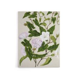 "Artery8 New Zealand Bindweed Wildflowers Featon Canvas Wall Art Print in Beige - Size: W12"" x H16""" - thumbnail 1