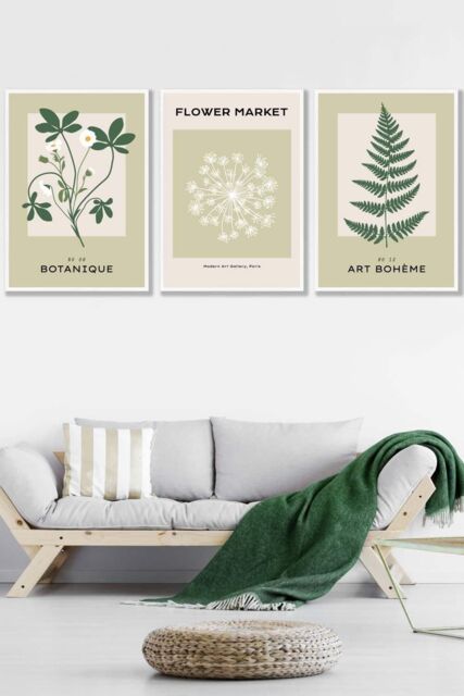 ARTZE Set of 3 White Framed Vintage Graphical Green Botanical Wall Art in Light Green - Size: W33 cm x H45 cm x D20mm - image 1