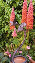 Inspirational Gifting Hummingbird Garden Sculpture Statue Ornament Decor in Bronze - thumbnail 8