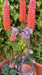 Inspirational Gifting Hummingbird Garden Sculpture Statue Ornament Decor in Bronze - thumbnail 9