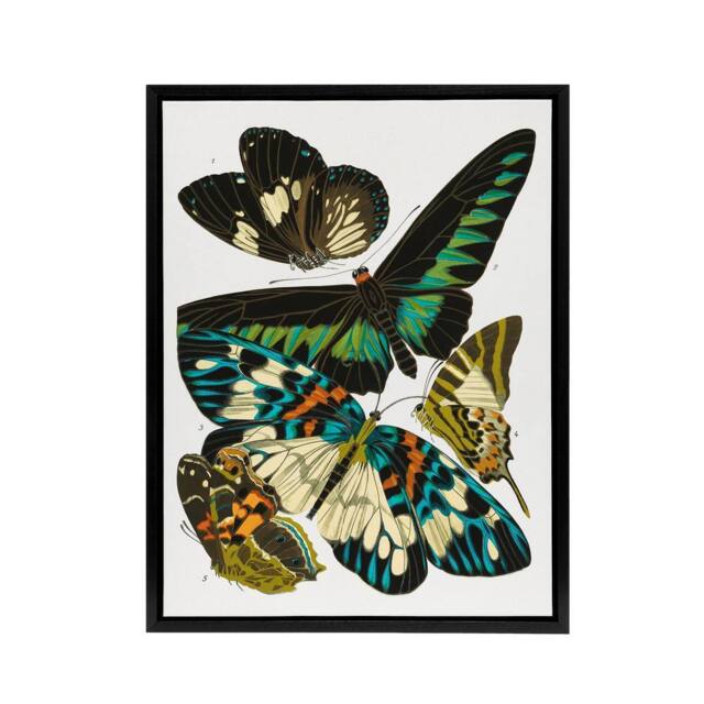 "Artery8 Vintage Butterflies Green Blue Framed Canvas Wall Art Print Eugene Seguy - Size: W12"" x H16""" - image 1