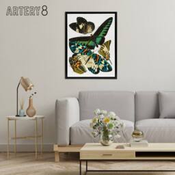 "Artery8 Vintage Butterflies Green Blue Framed Canvas Wall Art Print Eugene Seguy - Size: W12"" x H16""" - thumbnail 3