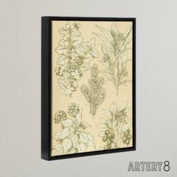 "Artery8 Leaves From Nature No 7 Botanical Jones Vintage Framed Canvas Wall Art in Beige - Size: W12"" x H16""" - thumbnail 2