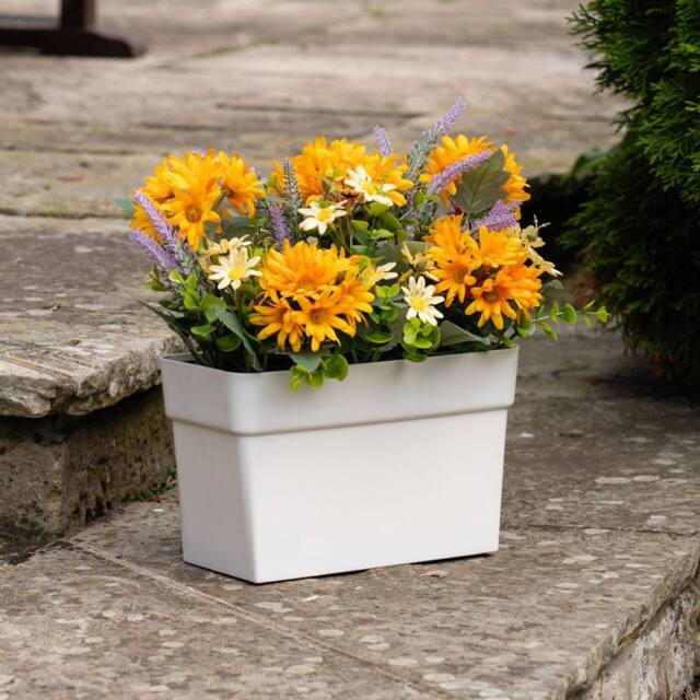 Scottish Everlastings Ltd Orange & Yellow Daisy UV White Trough - image 1
