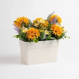 Scottish Everlastings Ltd Orange & Yellow Daisy UV White Trough - thumbnail 3