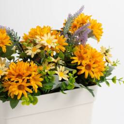 Scottish Everlastings Ltd Orange & Yellow Daisy UV White Trough - thumbnail 2