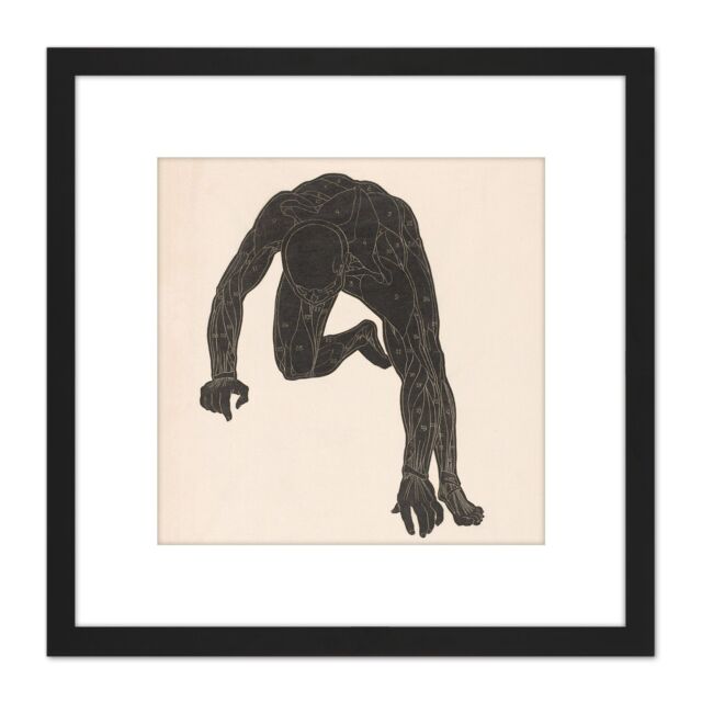 Artery8 Stolk Anatomical Study Neck Arm Leg Muscles Man 8X8 Inch Square Wooden Framed Wall Art Print Picture with Mount in Black - image 1