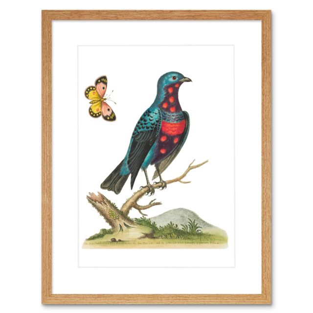 "Artery8 Wall Art Print Bird Blue Spotted Art Framed 9x7 inch in Beige - Size: W7"" x H9""" - image 1