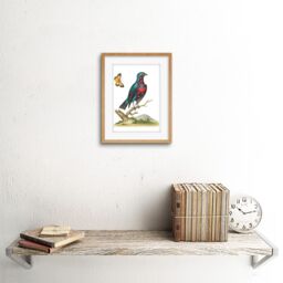 "Artery8 Wall Art Print Bird Blue Spotted Art Framed 9x7 inch in Beige - Size: W7"" x H9""" - thumbnail 2
