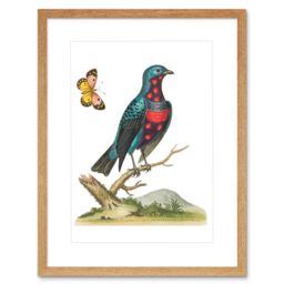 "Artery8 Wall Art Print Bird Blue Spotted Art Framed 9x7 inch in Beige - Size: W7"" x H9""" - thumbnail 1