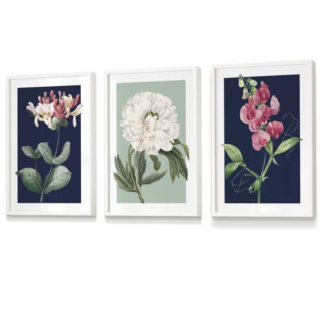ARTZE Set of 3 White Framed Vintage Flowers Honeysuckle Blue & Green Wall Art in Navy - Size: W33 cm x H45 cm x D20mm - image 1