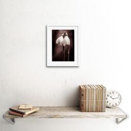 "Artery8 Wall Art Print Two Snowdrops Photograph Art Framed 9x7 inch in White - Size: W7"" x H9""" - thumbnail 2