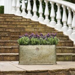 Royal Botanic Gardens Kew Kew Aged Brass Regency Outdoor Planter 62Cm - Premium Quality - 2 Other Sizes Available - 3 Year Warranty - Detachable - thumbnail 4