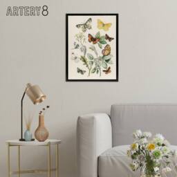 "Artery8 Butterflies Moths Caterpillars Kirby Black Framed Canvas Wall Art in White - Size: W12"" x H16""" - thumbnail 3