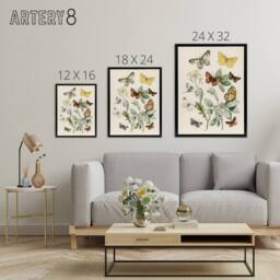 "Artery8 Butterflies Moths Caterpillars Kirby Black Framed Canvas Wall Art in White - Size: W12"" x H16""" - thumbnail 4