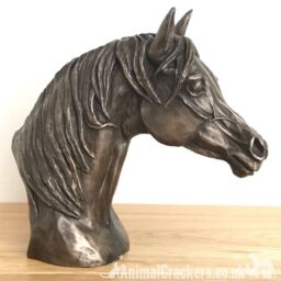 Animal Crackers Arab Horse Head Figurine In Solid Cold Cast Bronze Designed By Harriet Glen, Quality Horse Lover Home Decoration - thumbnail 5