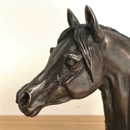 Animal Crackers Arab Horse Head Figurine In Solid Cold Cast Bronze Designed By Harriet Glen, Quality Horse Lover Home Decoration - thumbnail 2