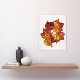 "Artery8 Autumn Leaves Leaf Patterns Reijer Stolk Wall Art Poster Print in White - Size: W12"" x H16""" - thumbnail 4
