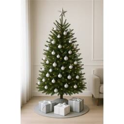 Clifton Premier Norway Spruce Christmas Tree - Fresh Cut - 1.5m - 1.75m (5 - 6ft) in Green