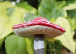 Marco Paul 4pc Toadstool Miniature Garden Ornaments Set in Red - thumbnail 5