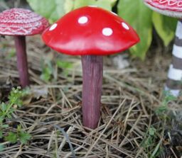 Marco Paul 4pc Toadstool Miniature Garden Ornaments Set in Red - thumbnail 3