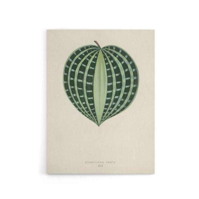 "Artery8 Vintage Botanical Seersucker Plant Leaf Fawcett Canvas Wall Art in Beige - Size: W18"" x H24""" - image 1