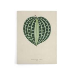 "Artery8 Vintage Botanical Seersucker Plant Leaf Fawcett Canvas Wall Art in Beige - Size: W18"" x H24""" - thumbnail 1