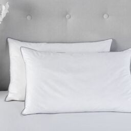 Snug City Luxury Duck Feather & Down Pillow Pair 100% Cotton Cover in White - thumbnail 2
