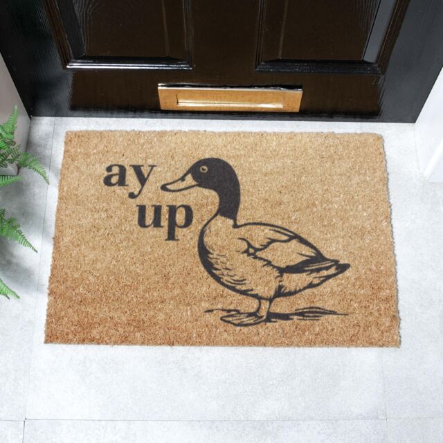 Artsy Mats Ay Up Duck Coir Doormat (60 x 40cm) in Brown - Size: 40 cm x 60 cm - image 1