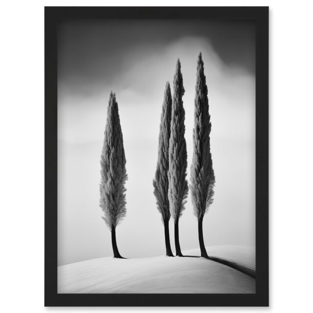 Artery8 Wall Art Print Group of Cypress Trees on Snowy Hill Minimalist Black & White Photograph Cypresses in Foggy Winter Landscape Artwork Framed A4 - image 1