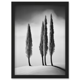 Artery8 Wall Art Print Group of Cypress Trees on Snowy Hill Minimalist Black & White Photograph Cypresses in Foggy Winter Landscape Artwork Framed A4 - thumbnail 1