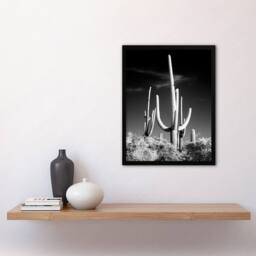 Artery8 Carol M Highsmith Saguaro Cactus Black White Photograph Framed Art in Grey - Size: A4 - thumbnail 2