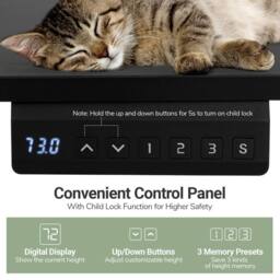 Costway Ergonomic Stand Up Desk 120x60CM Electric Standing Computer Desk in Black - Size: 120x60 cm - thumbnail 6