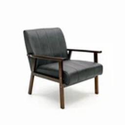 EONLION Armchair Stylish Modern Living Room Accent Single Armchair in Black - thumbnail 1