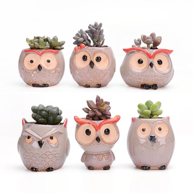 simpa 6PC Comic Owl Ceramic Plant Pots with Bamboo Base - image 1