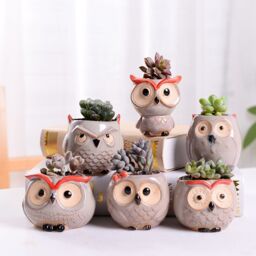 simpa 6PC Comic Owl Ceramic Plant Pots with Bamboo Base - thumbnail 2