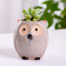 simpa 6PC Comic Owl Ceramic Plant Pots with Bamboo Base - thumbnail 4