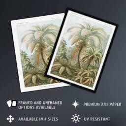 Artery8 Tropical Nature Filicinae Fern Plants Haeckel Framed Wall Art Print in Green - Size: A4 - thumbnail 2
