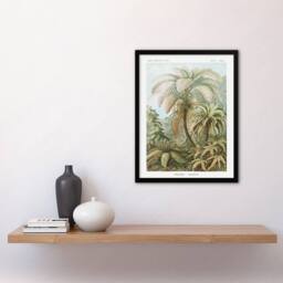 Artery8 Tropical Nature Filicinae Fern Plants Haeckel Framed Wall Art Print in Green - Size: A4 - thumbnail 4