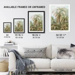 Artery8 Tropical Nature Filicinae Fern Plants Haeckel Framed Wall Art Print in Green - Size: A4 - thumbnail 3
