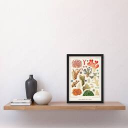 Artery8 William S Kent Framed Wall Art Great Barrier Reef of Australia Corals in White - Size: A4 - thumbnail 2