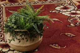 RugsX Morad Rug in Red - Size: 120 cm x 170 cm - thumbnail 4