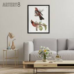 "Artery8 James De Kay Pine Bulfinch & Cardinal Grosbeak Framed Canvas Art in White - Size: W12"" x H16""" - thumbnail 3