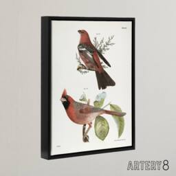 "Artery8 James De Kay Pine Bulfinch & Cardinal Grosbeak Framed Canvas Art in White - Size: W12"" x H16""" - thumbnail 2