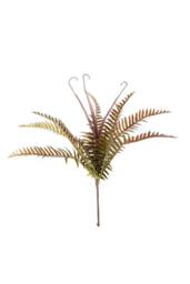 KDMD Essential Autumn Ladder Fern 2 Pack in Light Brown - thumbnail 2