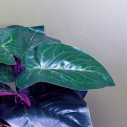 Leaf Artificial 35cm Ficus Plant Potted in Teal Blue Green Ceramic Planter - thumbnail 3
