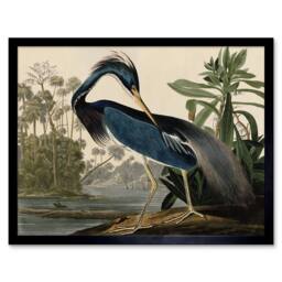 "Wee Blue Coo Audubon Birds Louisiana Heron Painting 12x16"" Framed Wall Art Print in Blue - Size: W12"" x H16""" - thumbnail 1