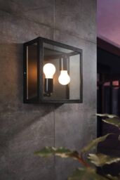 Eglo Alamonte 1 Metal IP44 Outdoor Wall Light in Black - thumbnail 2