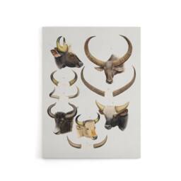 "Artery8 Bovine Animal Horns Vintage Illustration Lydekker Canvas Wall Art in White - Size: W18"" x H24""" - thumbnail 1