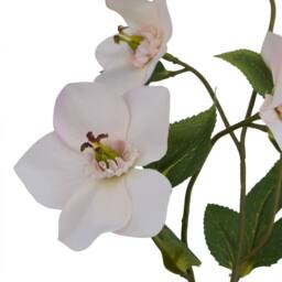 Lemon Pavilion Furniture and Decor The Natural Garden - Hellibore, Artificial Flower Single Stem - H47 cm in Pale Pink - thumbnail 3